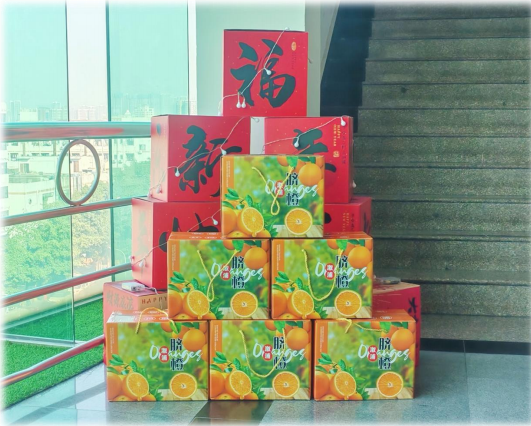 欢庆元旦 美好启“橙”